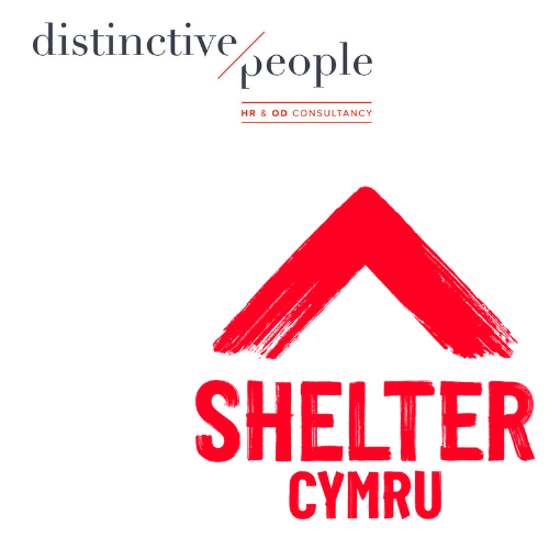 Distinctive People/Shelter Cymru – Chair Distinctive People/Shelter Cymru – Chair