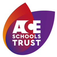 ACE Schools Multi Academy Trust (ACE MAT) - Non-Executive Director